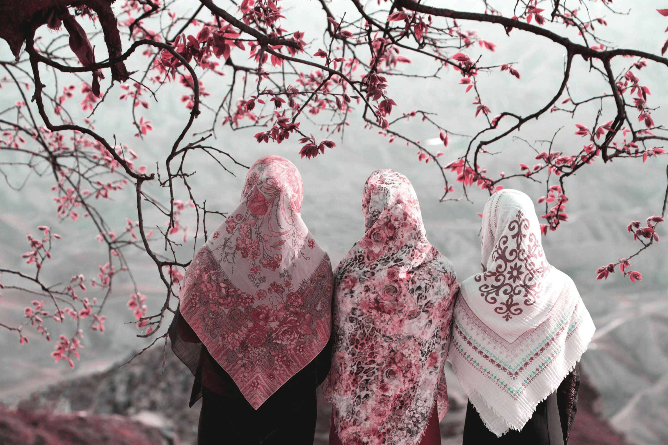  4 Amazing Muslim Events in Ohio This May That You’ll Kick Yourself for Missing